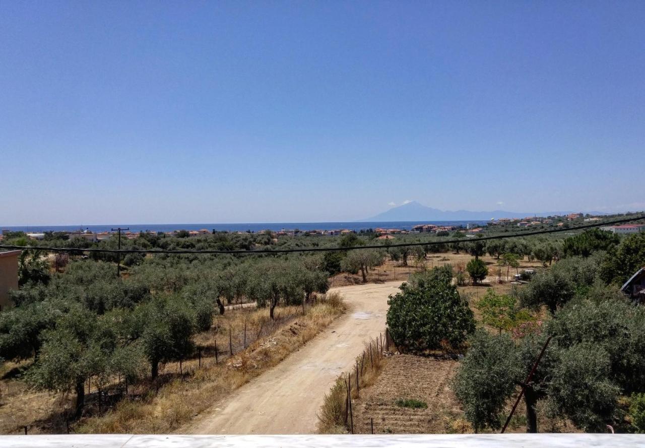 Apartamento Olive Grove House Limenaria  Exterior foto