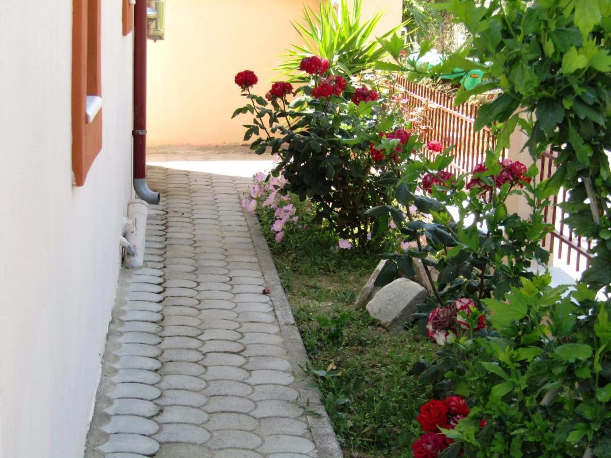 Apartamento Olive Grove House Limenaria  Exterior foto