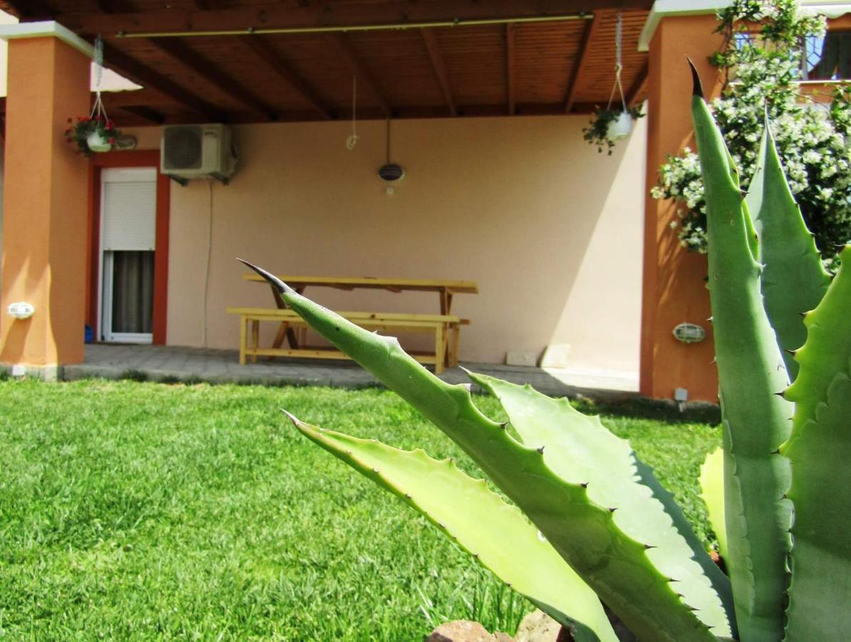 Apartamento Olive Grove House Limenaria  Exterior foto